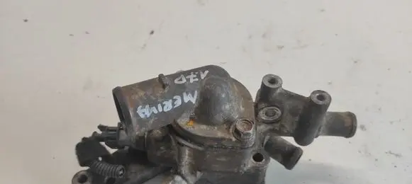 Thermostat/thermostat housing