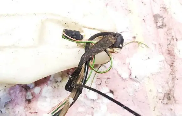 Citroen C3 Windscreen/windshield washer pump 9641553880