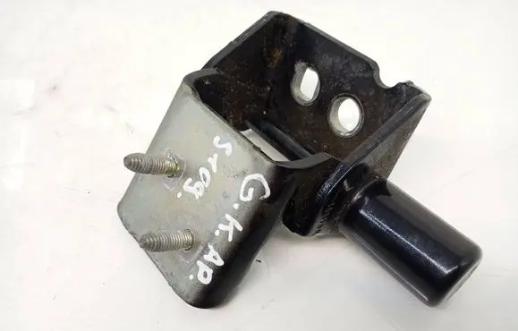 Rear door lower hinge