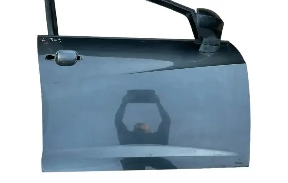Seat Ibiza IV (6J,6P) Front door