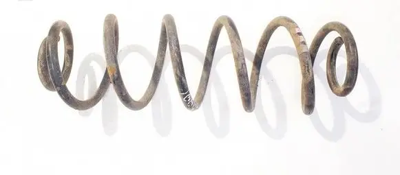 Rear coil spring