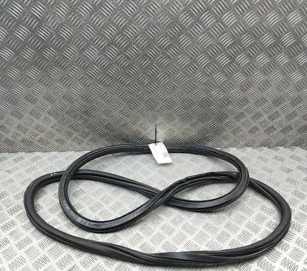 Volkswagen T-Roc Rubber seal front coupe door 2GA867911B