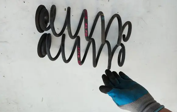 Rear coil spring