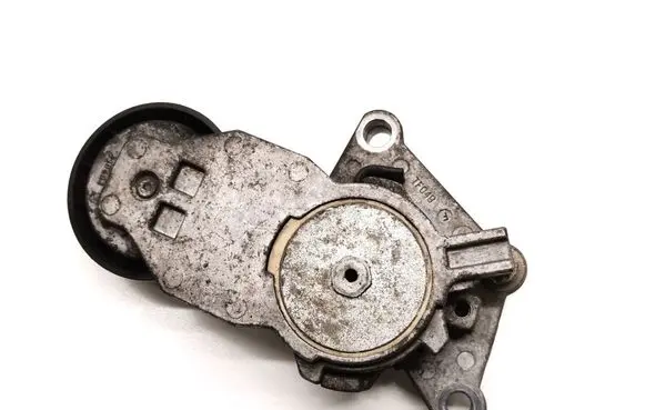 Volvo C30 Timing belt/chain tensioner 419484