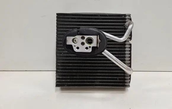 Volkswagen Touran I Air conditioning (A/C) radiator (interior) F666902ZC 20QVAF5 F666902Z