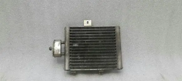 Mercedes-Benz SL R230 Engine oil radiator A2155000000