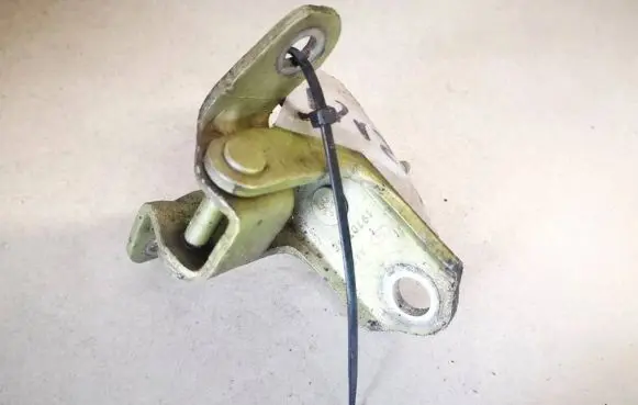 Ford Fiesta Rear door lower hinge