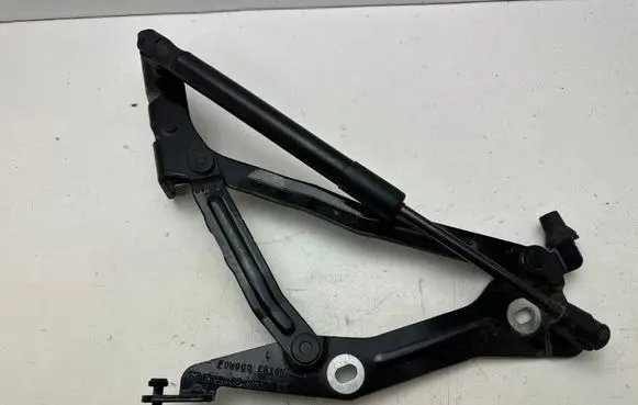 Ford Mustang VI Tailgate/trunk/boot hinge FR3B6342701AD