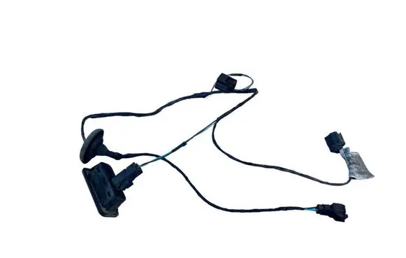 Renault Megane IV Tailgate/trunk wiring harness 2405016454R