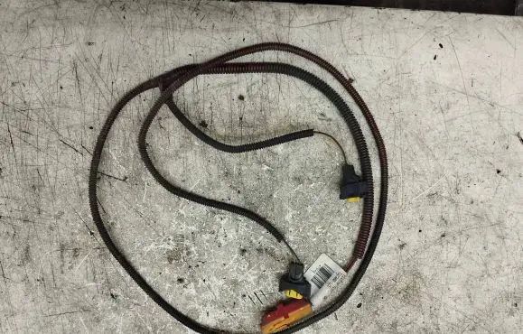 Renault Scenic II - Grand scenic II Other wiring loom 8200124784 03052004