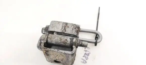 Rear door lower hinge