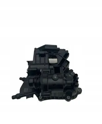 BMW 3 G20 G21 Thermostat 8596107