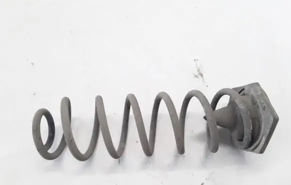 Renault Megane III Rear coil spring 550200032R