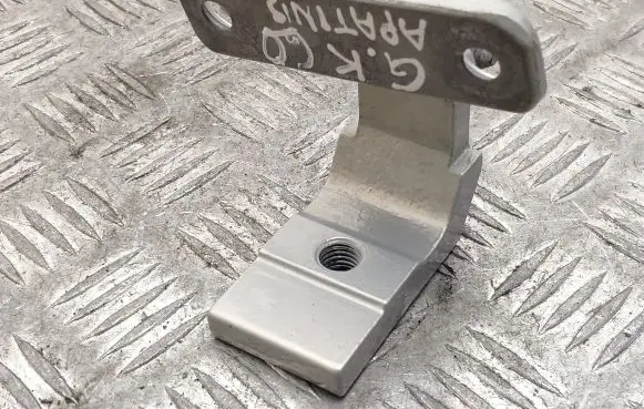 Rear door lower hinge