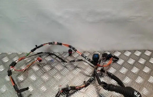 Chrysler Grand Voyager IV Front door wiring loom 04868610AA