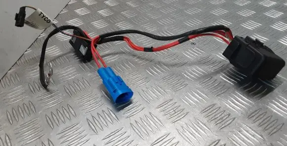 Renault Latitude (L70) Other wiring loom U4650003