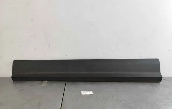 Front door trim (molding)