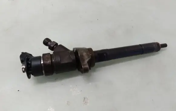Citroen C4 I Fuel injector 0445110297
