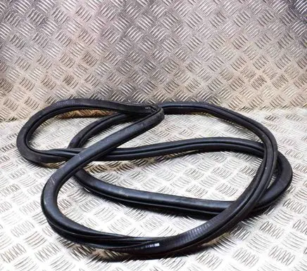 Volkswagen ID.4 Rubber seal front coupe door 11A867911B