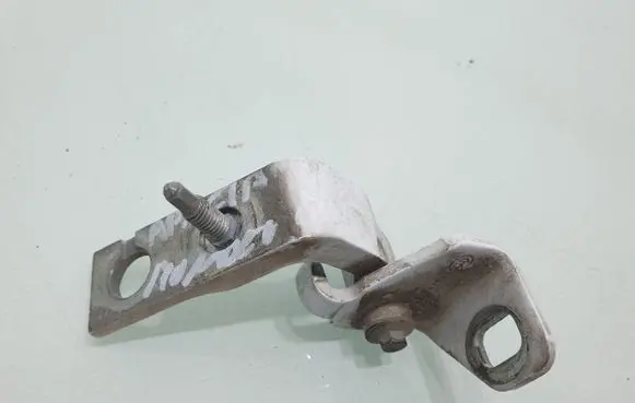 Rear door lower hinge