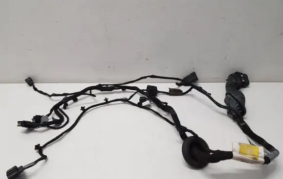 Front door wiring loom