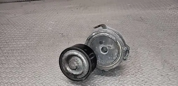 Citroen C3 Generator/alternator belt tensioner 9675874680 0491810