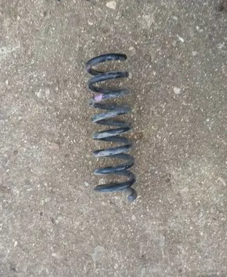 Rear coil spring