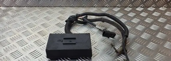Peugeot 206 CC Other wiring loom 9656159580