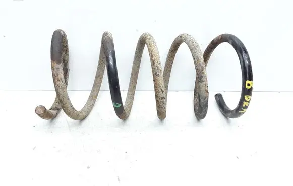 Rear coil spring