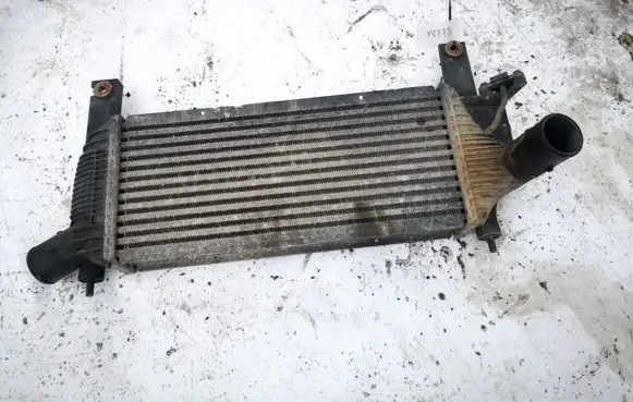 Nissan Pathfinder R51 Intercooler radiator 14461eb360