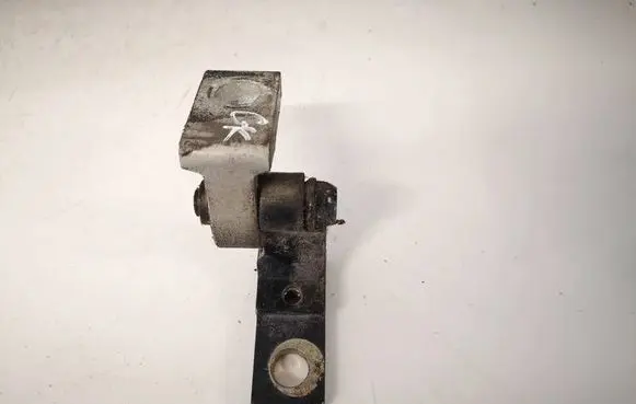 Volkswagen PASSAT B5.5 Rear door lower hinge 