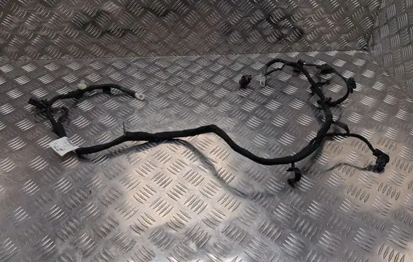 Skoda Octavia Mk4 Wires (generator/alternator) 5WA971230FP