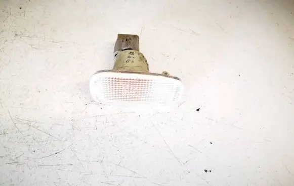 Front fender indicator light