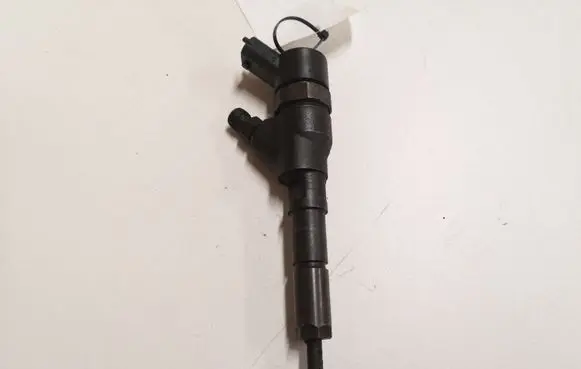 Peugeot 406 Fuel injector 0445110062 9640088780