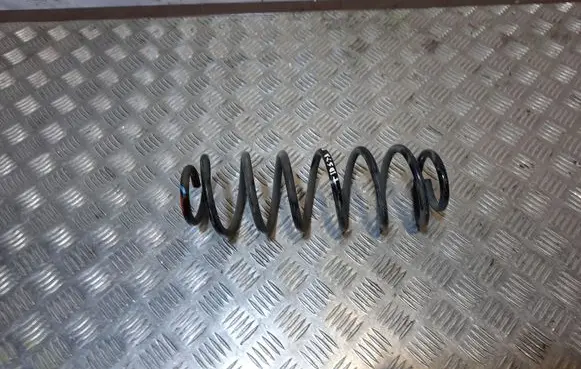 Ford Fiesta Rear coil spring NERA