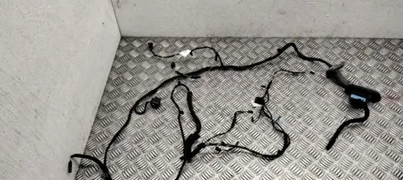 Front door wiring loom