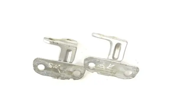 Jaguar F-Pace Rear door lower hinge