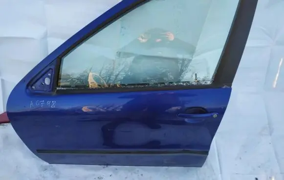 Seat Toledo II (1M) Front door melyna