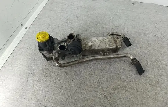Seat Ibiza IV (6J,6P) EGR valve 
