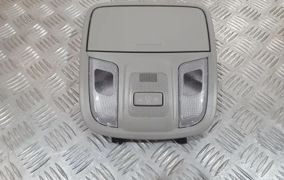 KIA Niro Headlining lighting console trim MM10482