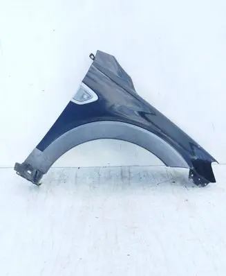 Fender
