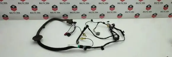 Tesla Model 3 Other wiring loom P206878902B ML22267T162530