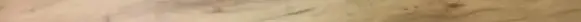 Opel Vectra C Front door trim (molding) 13101649 464192822