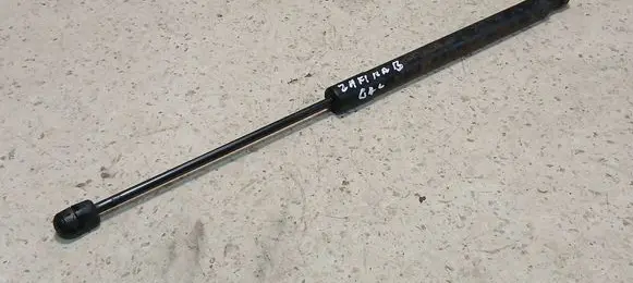 Tailgate/trunk strut/damper