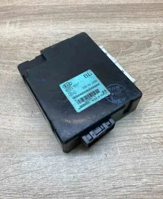 KIA Sorento Other control units/modules 954003E310 10R021806