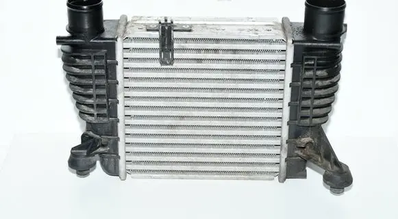 Nissan Juke I F15 Intercooler radiator 14461EM00A