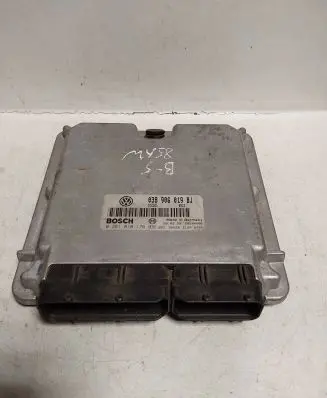 Volkswagen PASSAT B5 Engine control unit/module 038906019BJ 0281010176
