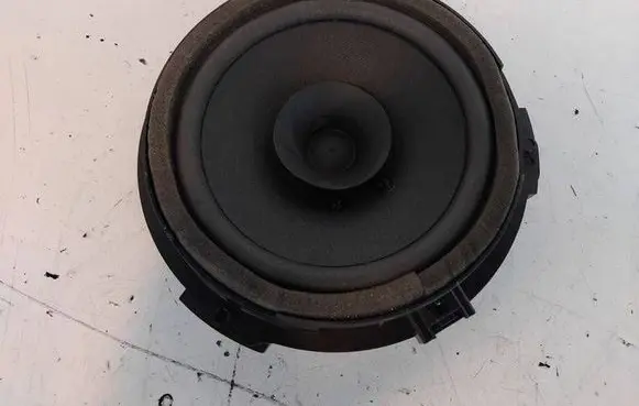 Rear door speaker