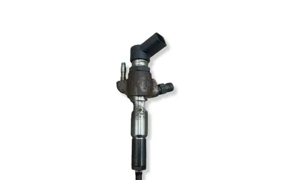 Citroen C4 II Picasso Fuel injector 9802448680