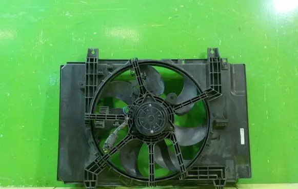 Nissan Juke I F15 Fan set 17AB201